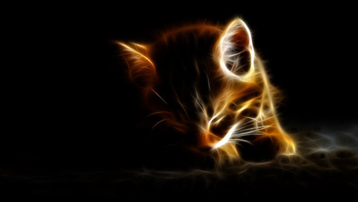 795714 (a): :1920x1080